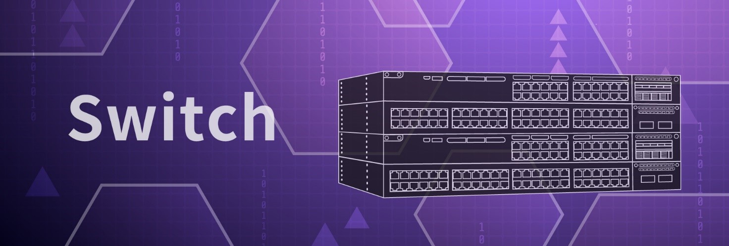 c-networking-switch-152_o