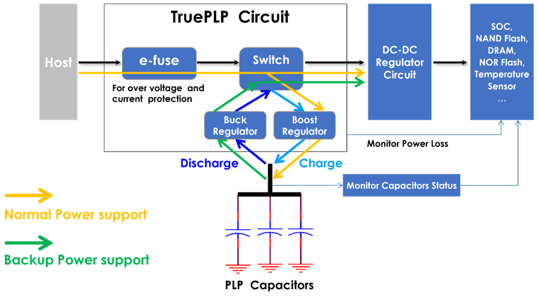 TruePLP